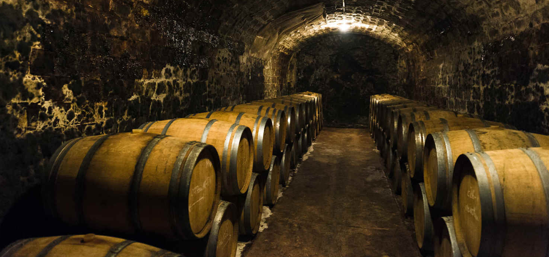 Virginie Laurens Cave à Vin 859